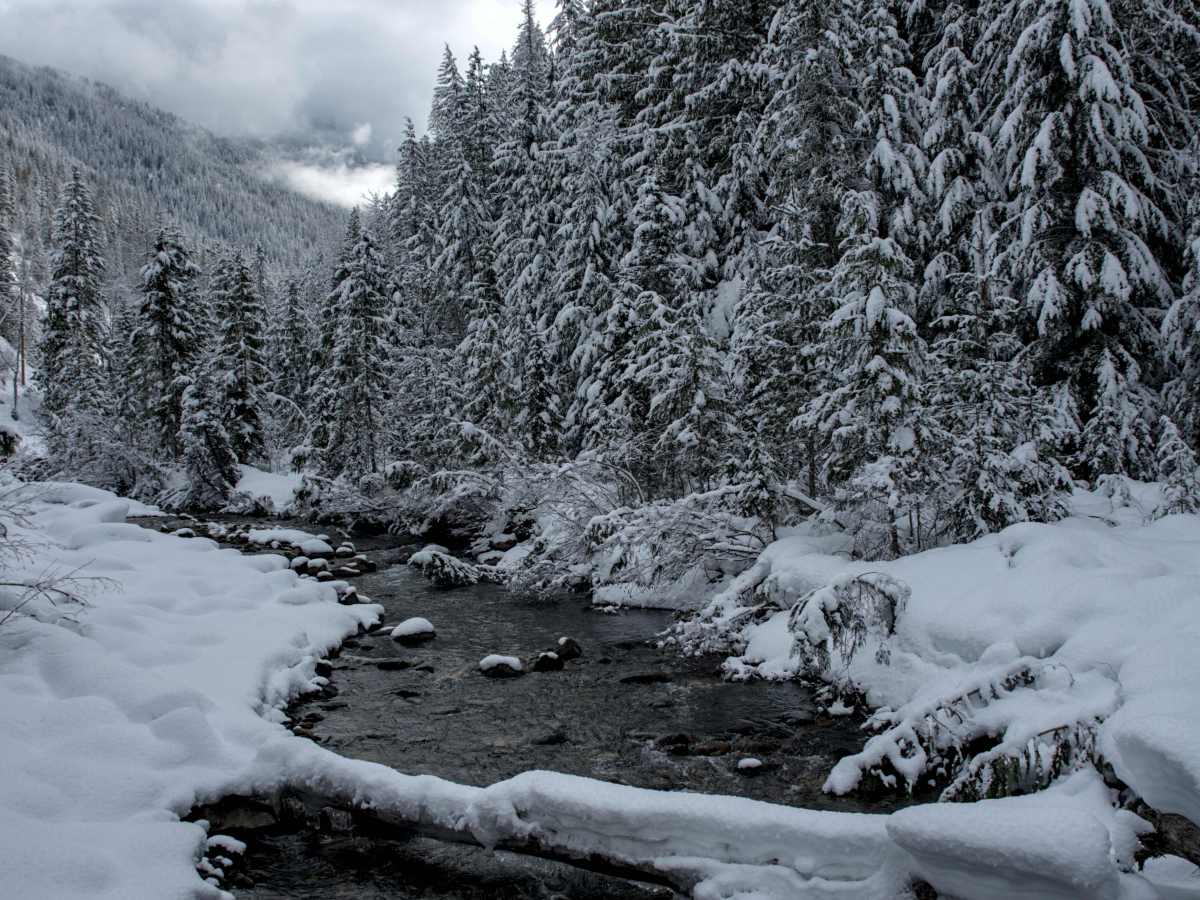 Tag #172 – #175 West&nbsp;Kootenays