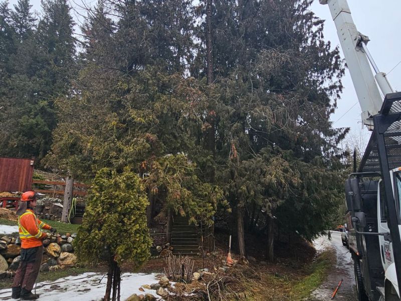 Tag #157 – #163 Die letzte&nbsp;Arbeitswoche