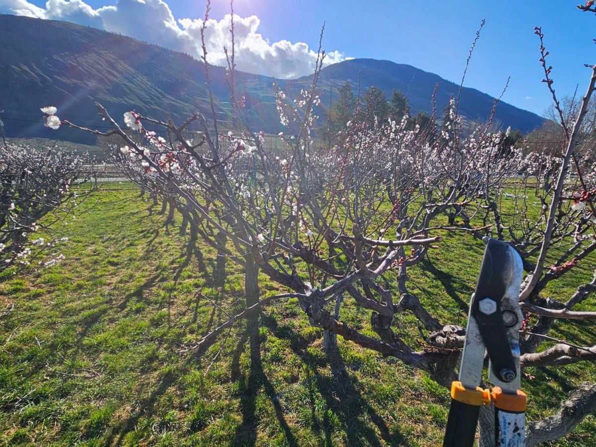 Tag #206 – #211 Die letzte Woche in&nbsp;Cawston