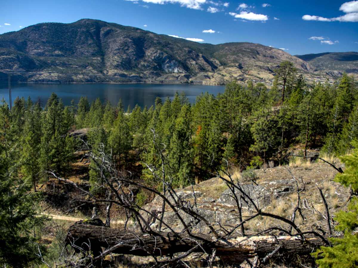 Tag #201 – #204 Skaha Bluffs Provincial&nbsp;Park