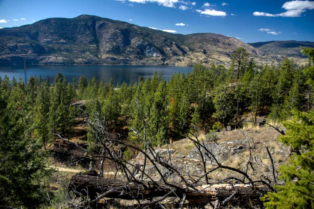 Tag #201 – #204 Skaha Bluffs Provincial&nbsp;Park