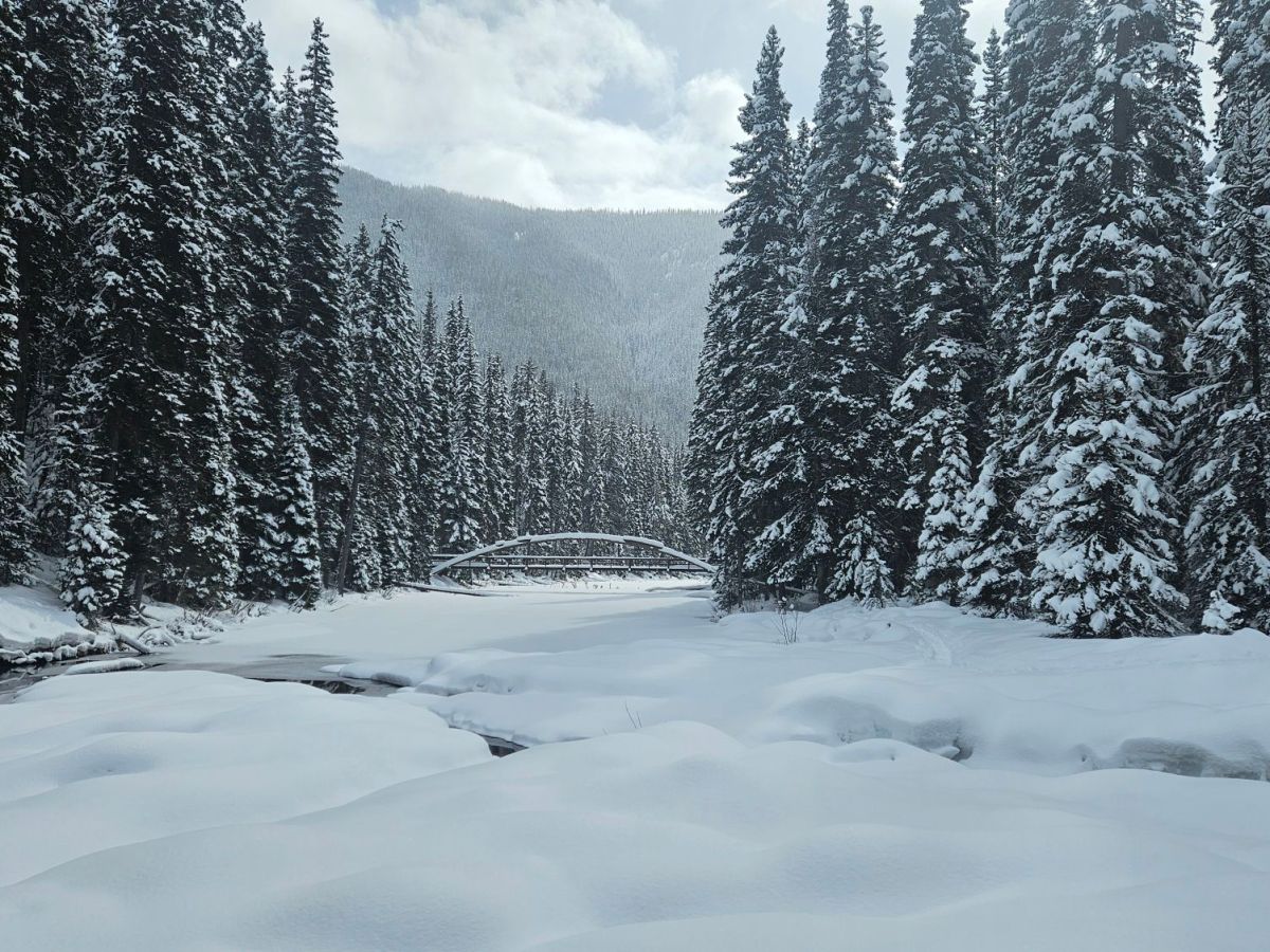 Tag #192 – #200 spaß im&nbsp;Schnee