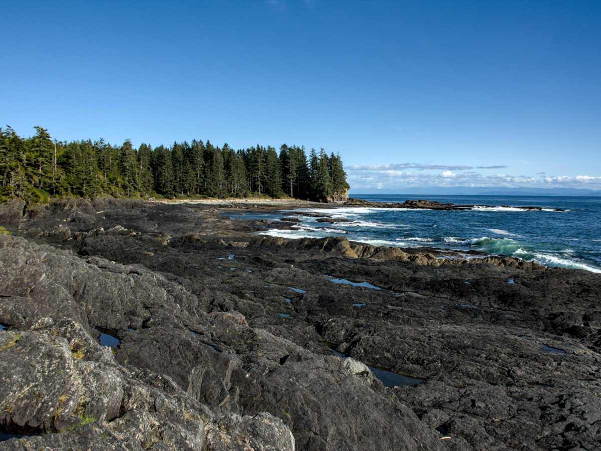 Tag #226 – #235 Vancouver Island – der&nbsp;Südwesten